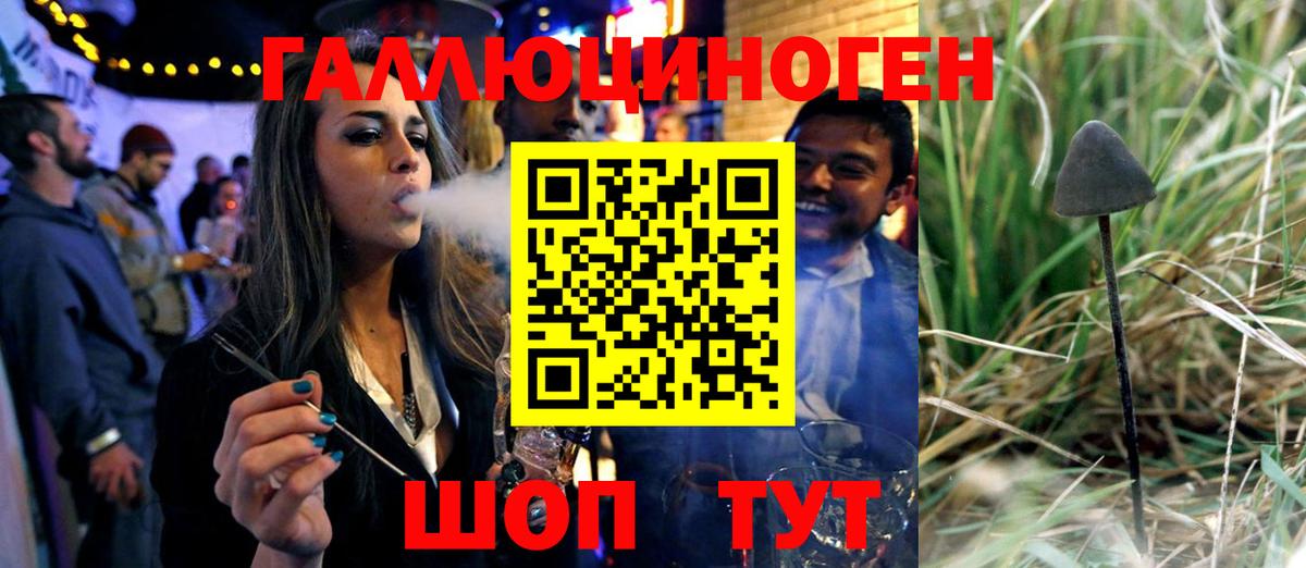 Псилоцибиновые грибы мицелий Отрадное