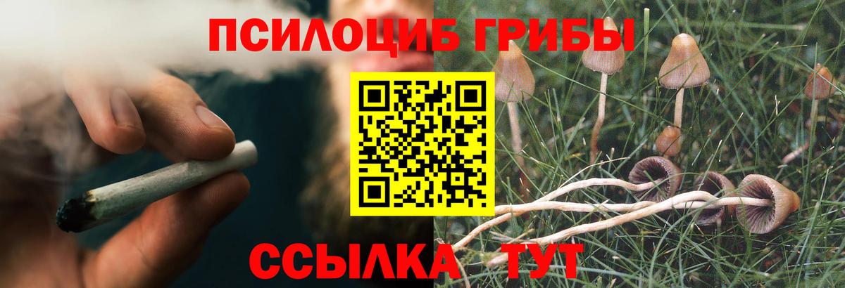 Галлюциногенные грибы Psilocybe  Псилоцибиновые грибы ЛСД  Отрадное  купить   Вход с VPN 