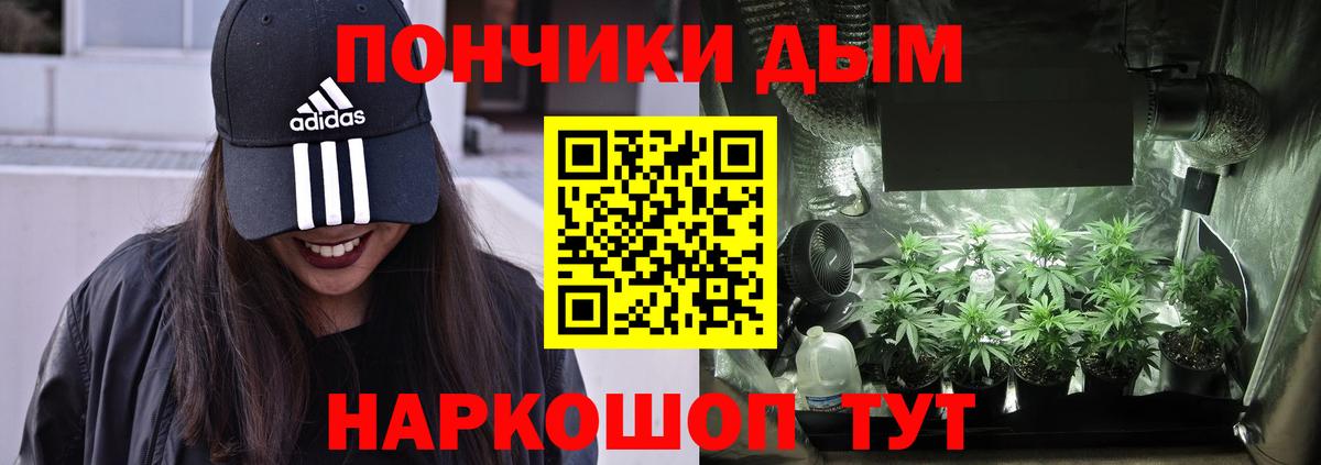 Отрадное  Марихуана план  Бошки марихуана сатива  Вход с VPN 